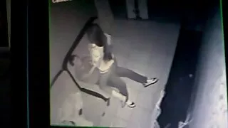 A poderosa cinta muscular lambe videos de sexo brasileiro flagras a rata de uma rapariga magricela e faz Anilingus